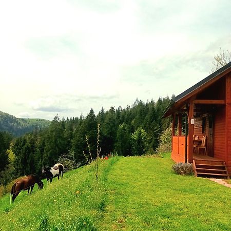 Tiny House Villa Ziri Exterior photo