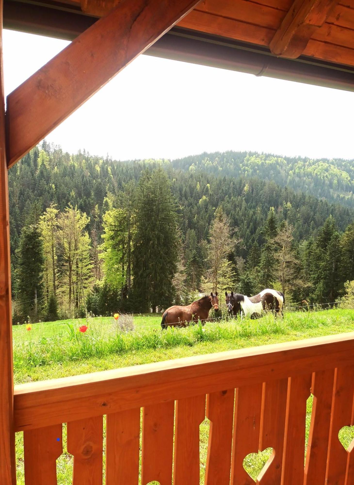 Tiny House Villa Ziri Exterior photo